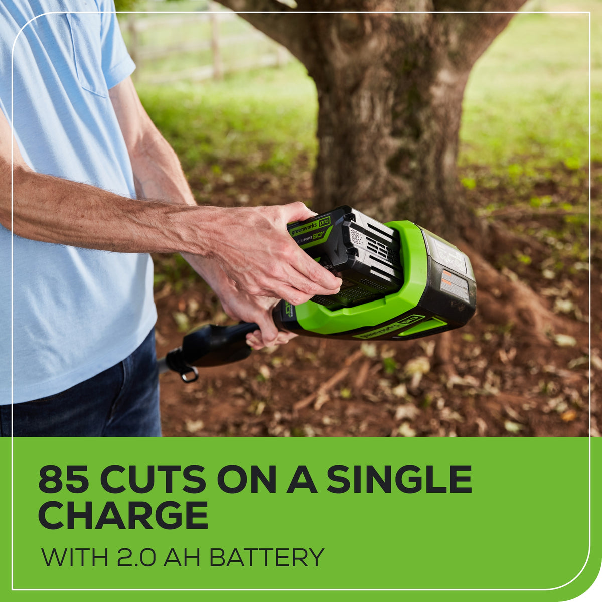 60V 10" Cordless Battery Pole Saw w/ 2.0 Ah Battery & Charger