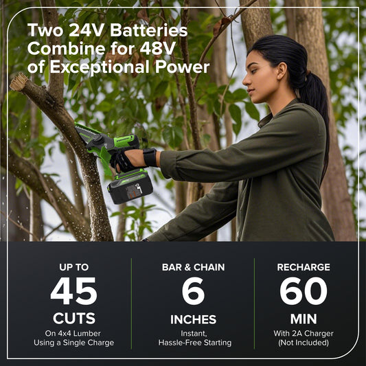 24V 6