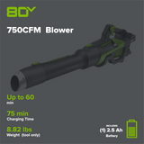 80V 750CFM Cordless Battery Leaf Blower: 2.5 Ah Battery and Charger