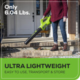 40V 350 CFM Cordless Battery Leaf Blower: 2.0 Ah Battery and Charger