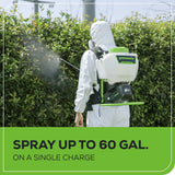 24V Cordless Battery Backpack Sprayer: 2.0 Ah USB Battery and Charger