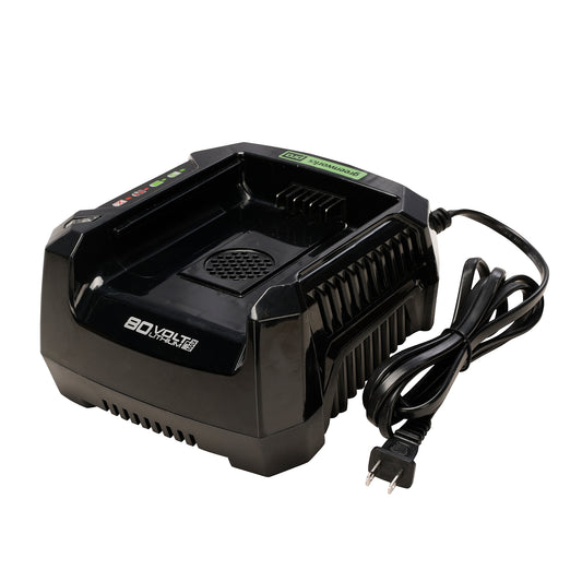 RENEWED 80V 6A Battery Charger