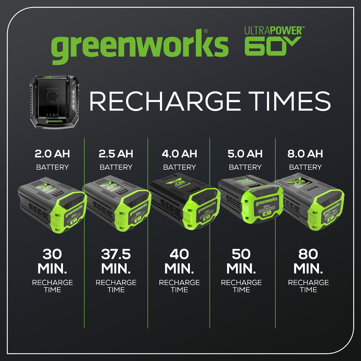 60V 6A UltraPower Rapid Battery Charger