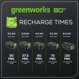 80V 4A Rapid Battery Charger